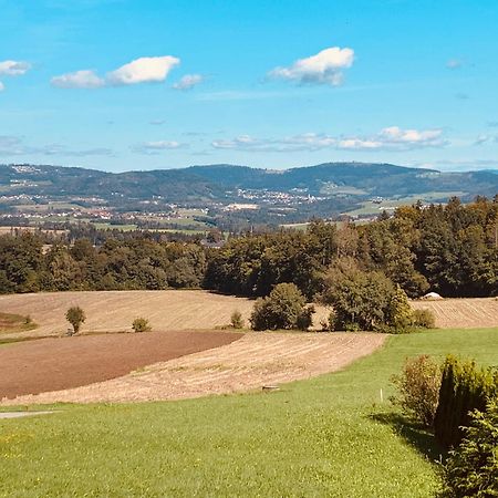 Adlerhorst, 4 Schlafzimmer, Blick In Die Alpen, Parkplatz Thyrnau Kültér fotó